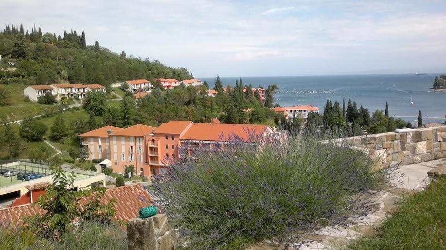 Heart Of Al Strunjan
