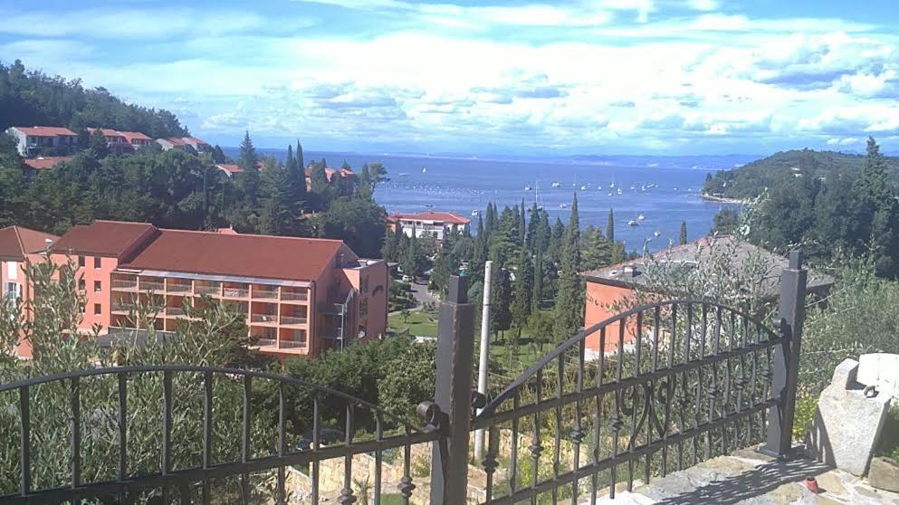 Heart Of Al * Strunjan